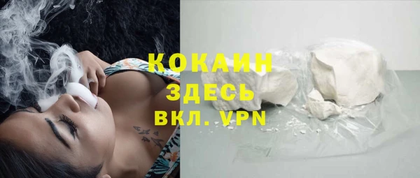 дмт Абаза