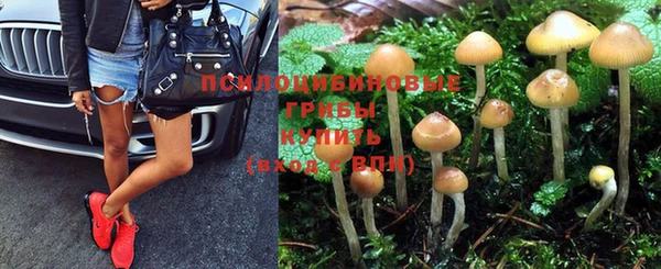 каннабис Абинск