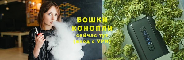 дмт Абаза