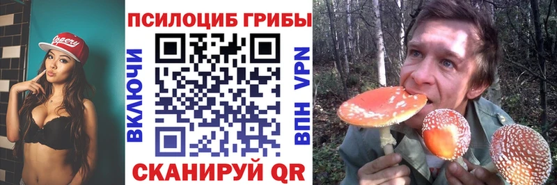 Псилоцибиновые грибы Psilocybine cubensis  Советская Гавань 